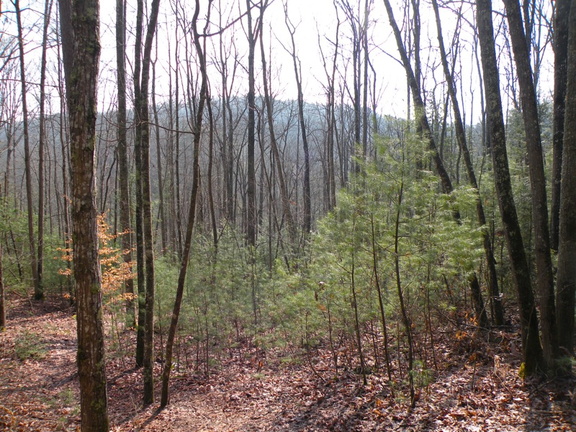 Koomer Ridge Trail